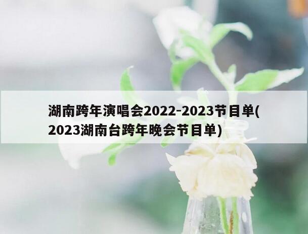 湖南跨年演唱会2022-2023节目单(2023湖南台跨年晚会节目单)