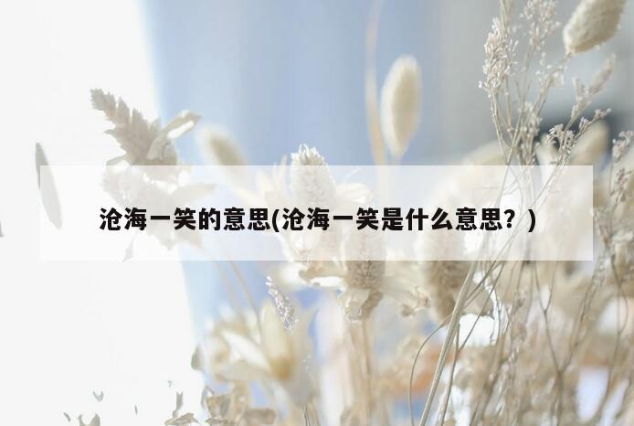 沧海一笑的意思(沧海一笑是什么意思？)