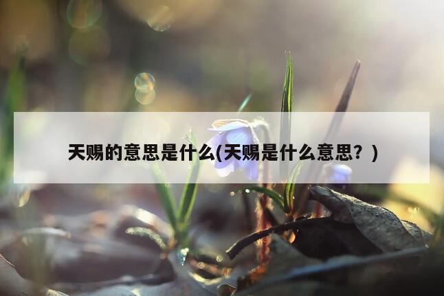 天赐的意思是什么(天赐是什么意思？)