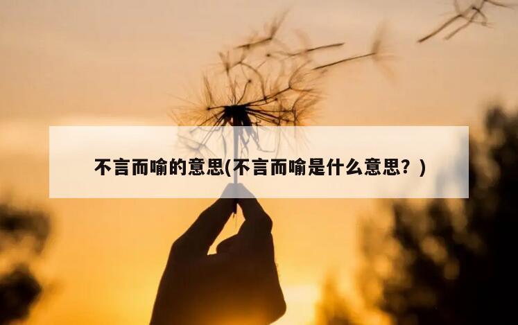 不言而喻的意思(不言而喻是什么意思？)