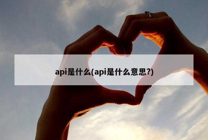 api是什么(api是什么意思?)