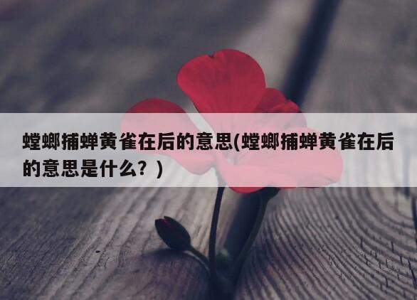 螳螂捕蝉黄雀在后的意思(螳螂捕蝉黄雀在后的意思是什么？)