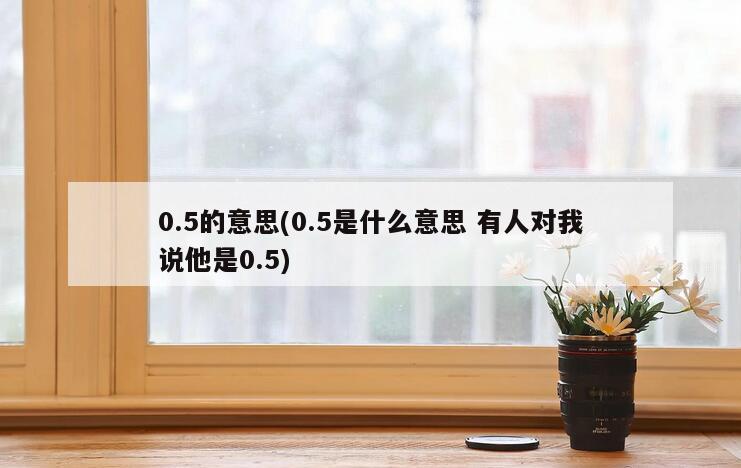 0.5的意思(0.5是什么意思 有人对我说他是0.5)