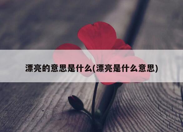 漂亮的意思是什么(漂亮是什么意思)