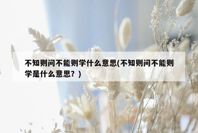 不知则问不能则学什么意思(不知则问不能则学是什么意思？)