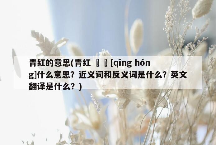 青红的意思(青红   [qīng hóng]什么意思？近义词和反义词是什么？英文翻译是什么？)