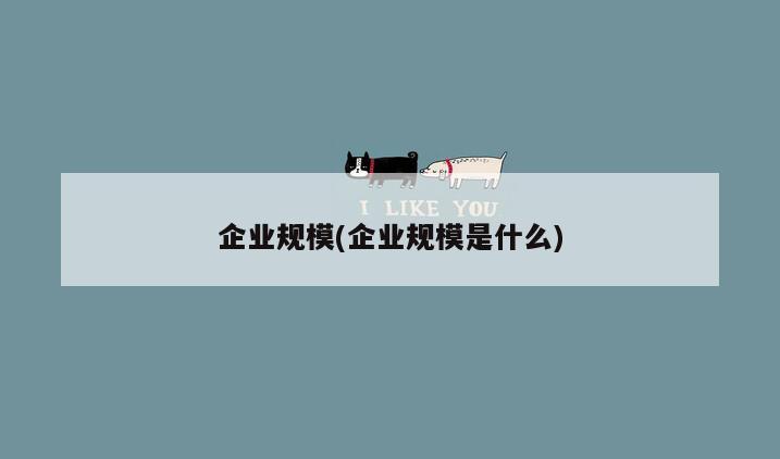 企业规模(企业规模是什么)