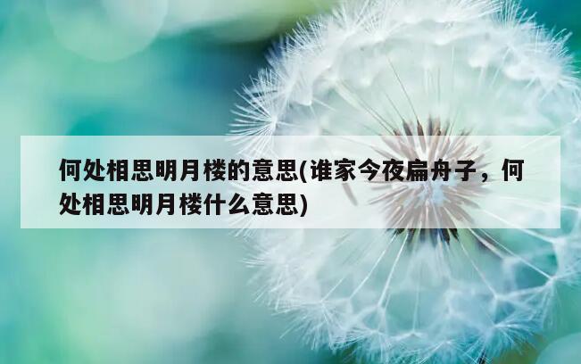 何处相思明月楼的意思(谁家今夜扁舟子，何处相思明月楼什么意思)