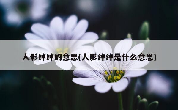 人影绰绰的意思(人影绰绰是什么意思)