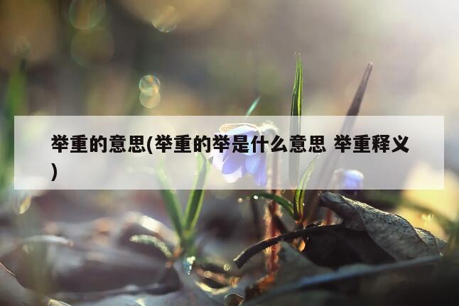 举重的意思(举重的举是什么意思 举重释义)