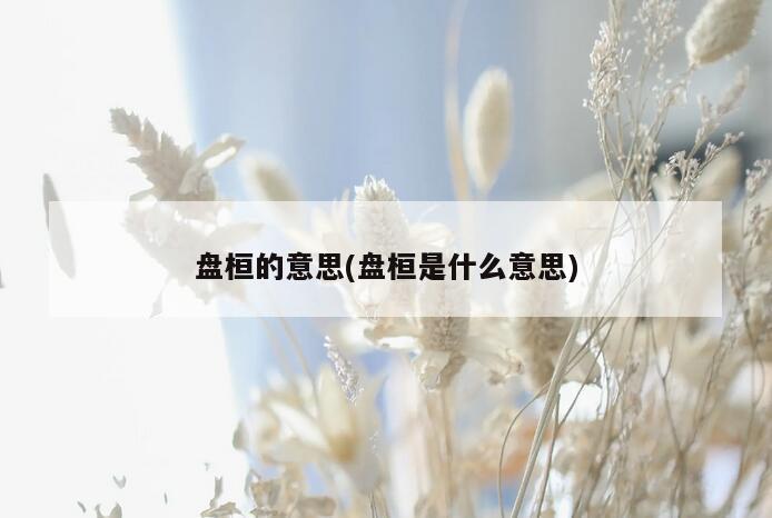 盘桓的意思(盘桓是什么意思)