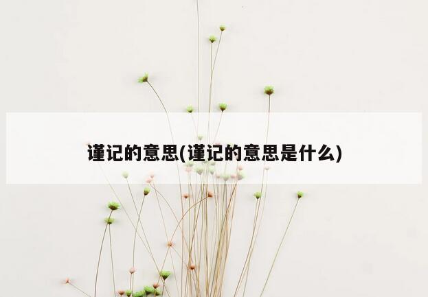 谨记的意思(谨记的意思是什么)