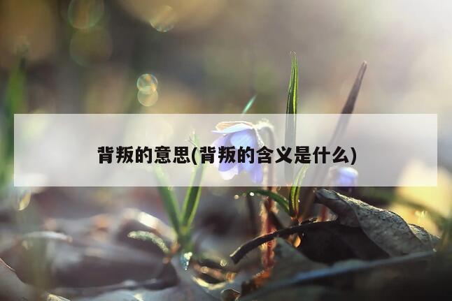 背叛的意思(背叛的含义是什么)