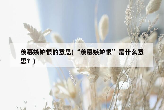 羡慕嫉妒恨的意思(“羡慕嫉妒恨”是什么意思？)