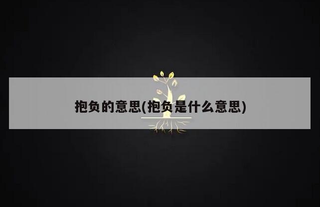 抱负的意思(抱负是什么意思)