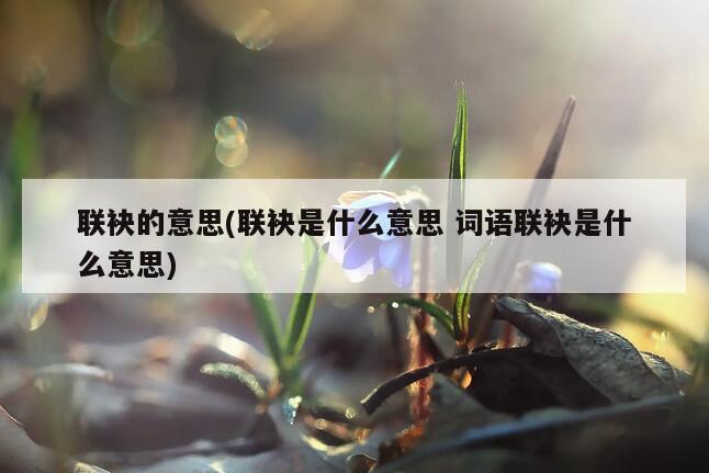 联袂的意思(联袂是什么意思 词语联袂是什么意思)