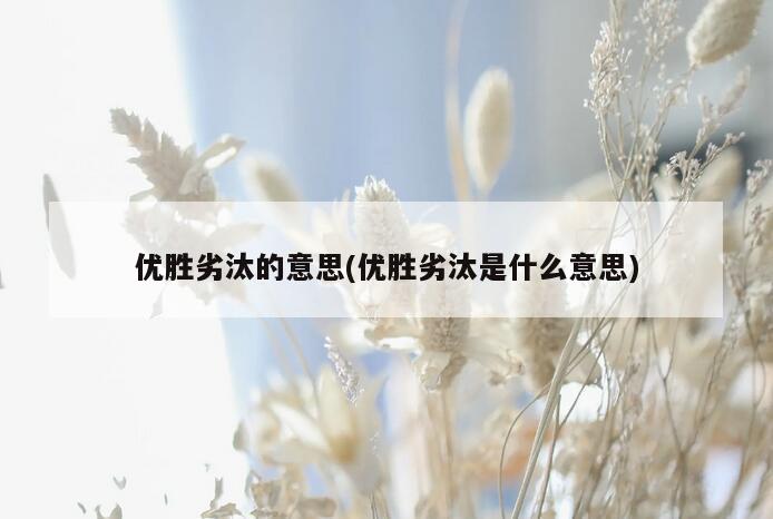 优胜劣汰的意思(优胜劣汰是什么意思)