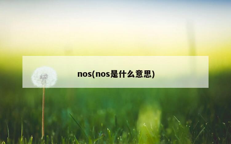 nos(nos是什么意思)