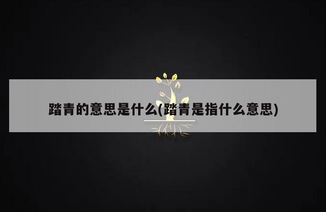 踏青的意思是什么(踏青是指什么意思)