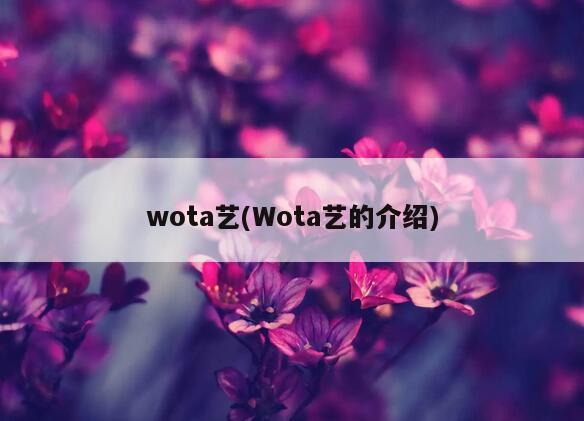 wota艺(Wota艺的介绍)