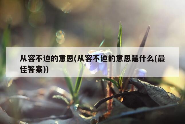 从容不迫的意思(从容不迫的意思是什么(最佳答案))