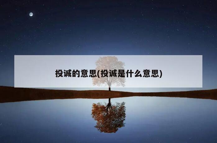 投诚的意思(投诚是什么意思)