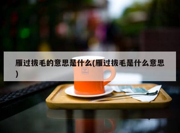 雁过拔毛的意思是什么(雁过拔毛是什么意思)