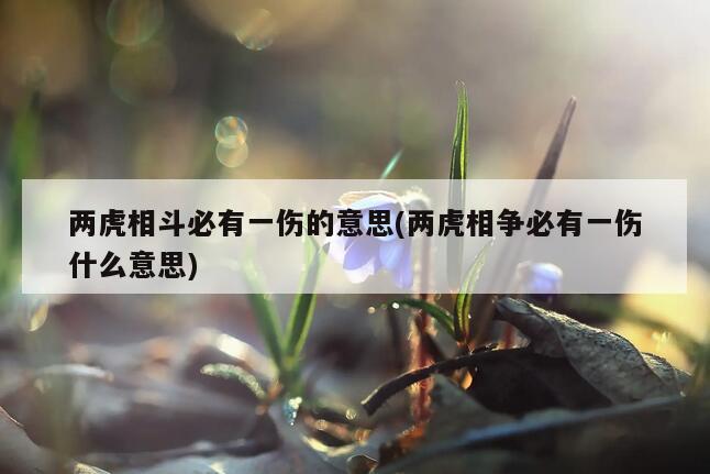 两虎相斗必有一伤的意思(两虎相争必有一伤什么意思)