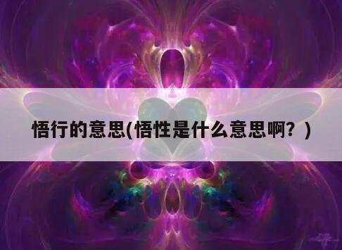 悟行的意思(悟性是什么意思啊？)