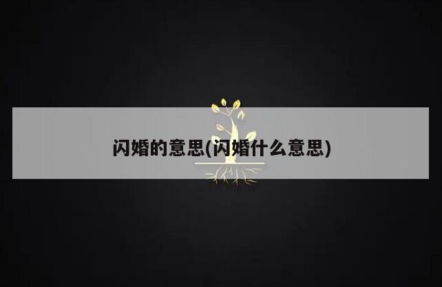 闪婚的意思(闪婚什么意思)