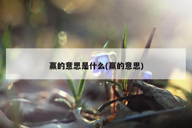 赢的意思是什么(赢的意思)