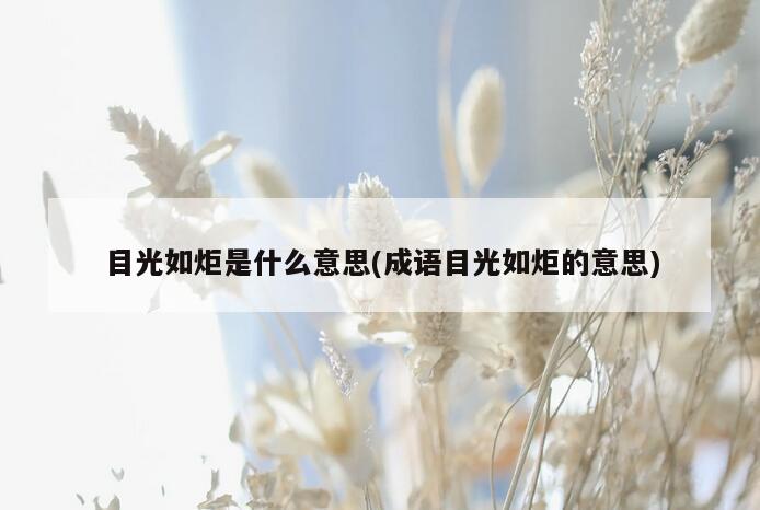 目光如炬是什么意思(成语目光如炬的意思)