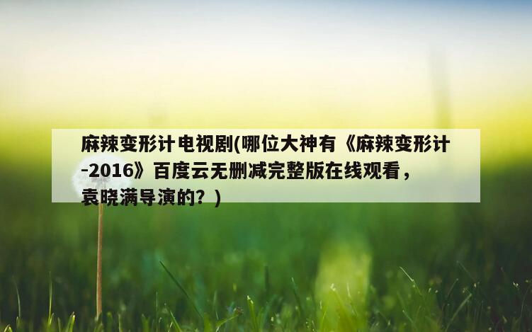 麻辣变形计电视剧(哪位大神有《麻辣变形计-2016》百度云无删减完整版在线观看，袁晓满导演的？)